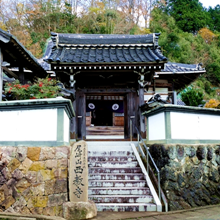 西教寺　兵庫県のお寺　寺院概要（豊岡市のお寺）