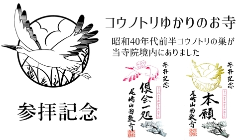 豊岡市コノノトリゆかりのお寺　御朱印　兵庫県　御朱印